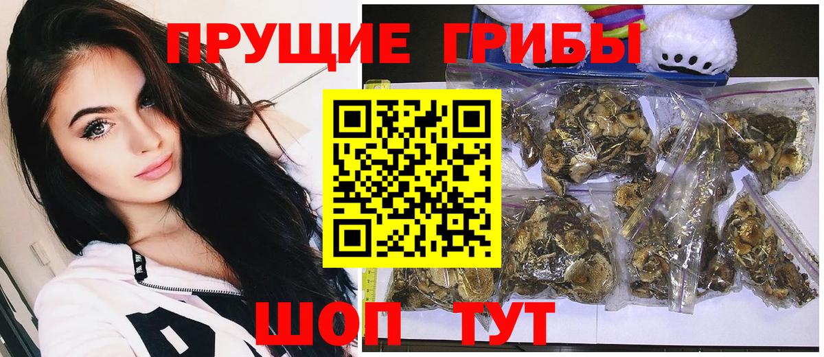Галлюциногенные грибы ЛСД Сегежа