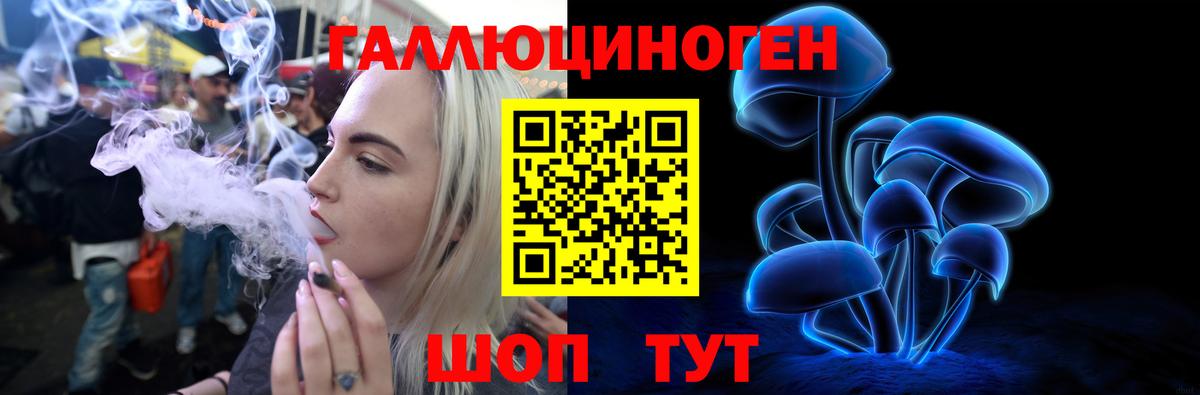 Сегежа  Галлюциногенные грибы GOLDEN TEACHER  Вход с VPN 